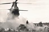 Chinook